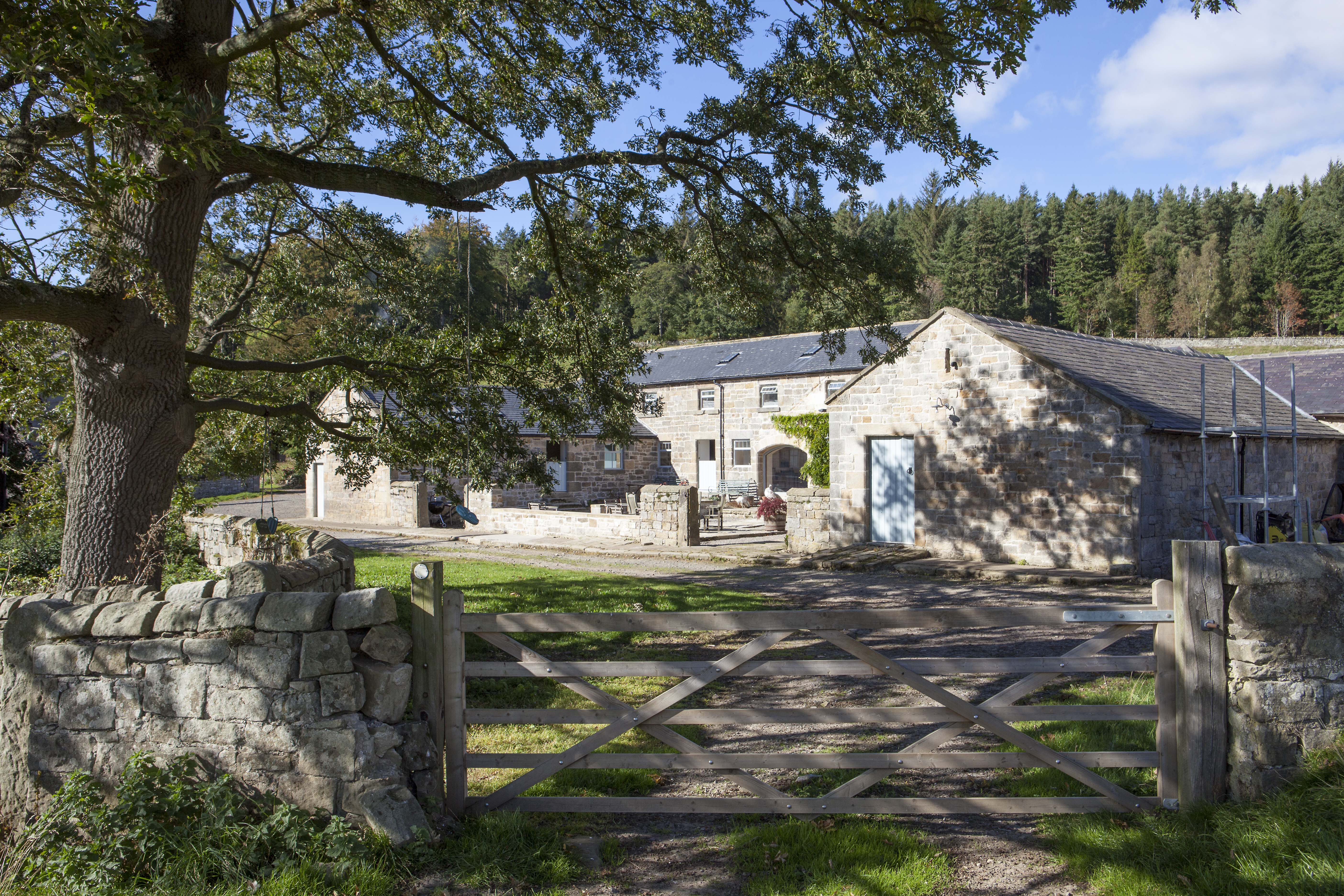 Courtesy of Dave Burton Features